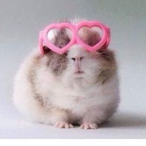 Meet your Posher, Tracy